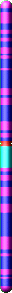 Chromozom 1