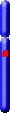 Chromozom 7